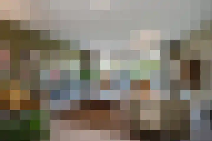 Achterdijkshoorn 62 a Den Hoorn thumbnail 8