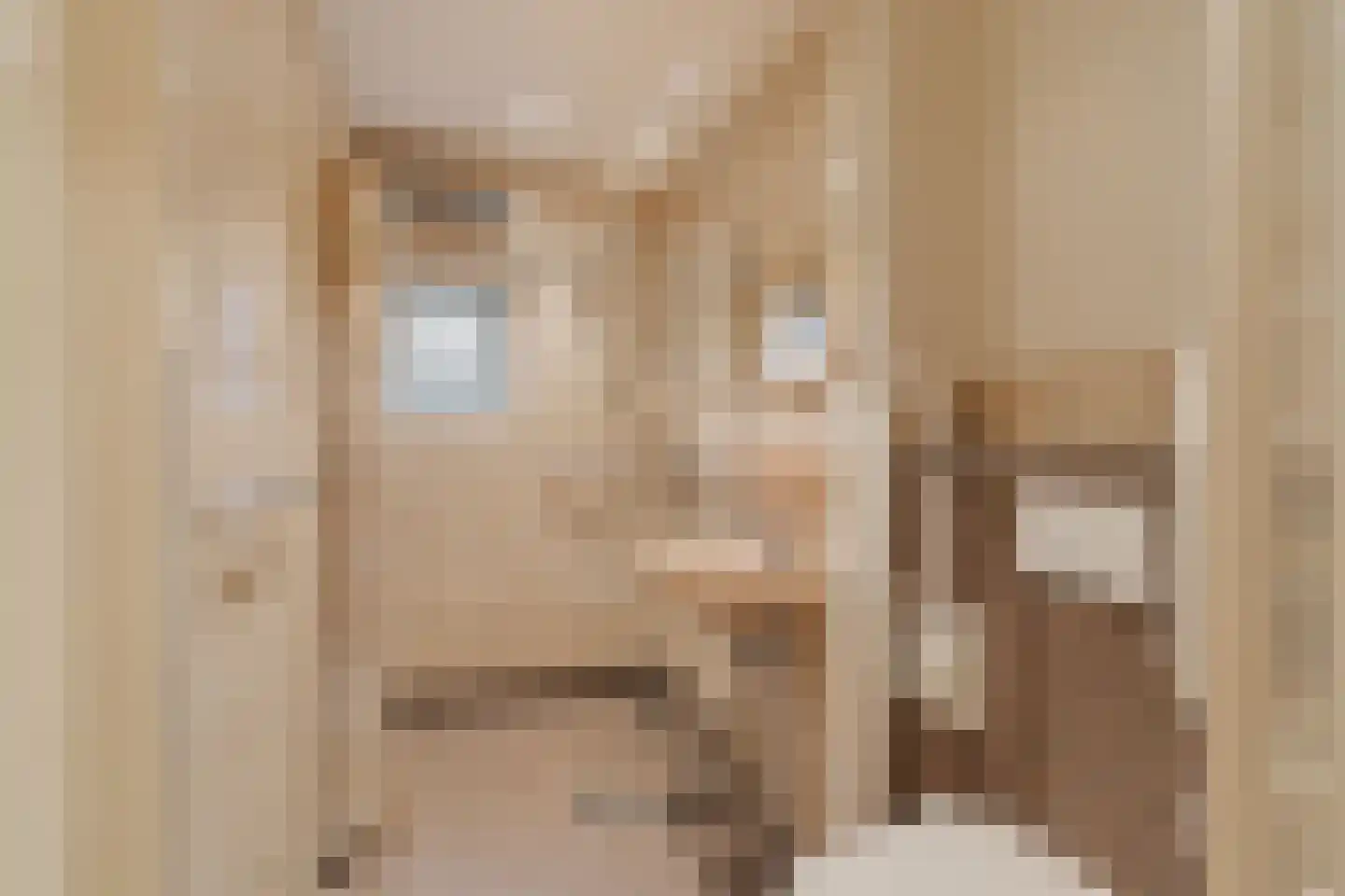 Achterdoel 4 Nieuw-Beijerland thumbnail 20