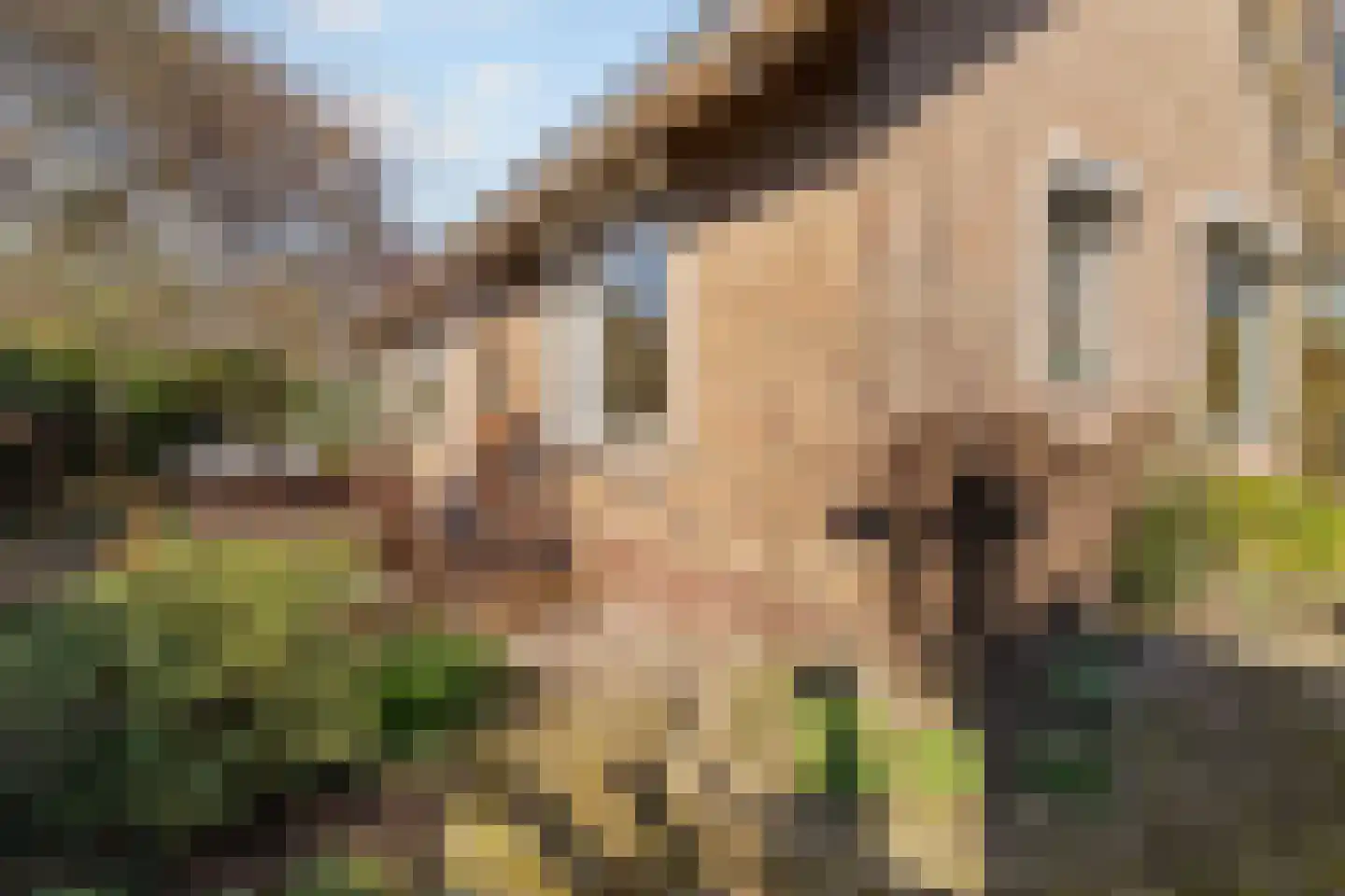 Achterdoel 4 Nieuw-Beijerland thumbnail 29