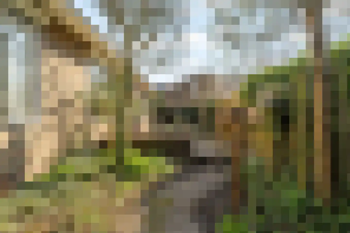 Achterdoel 4 Nieuw-Beijerland thumbnail 32