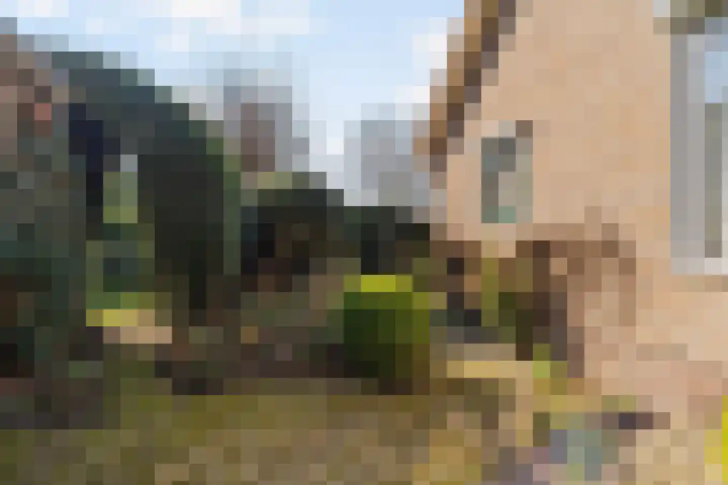 Achterdoel 4 Nieuw-Beijerland thumbnail 34