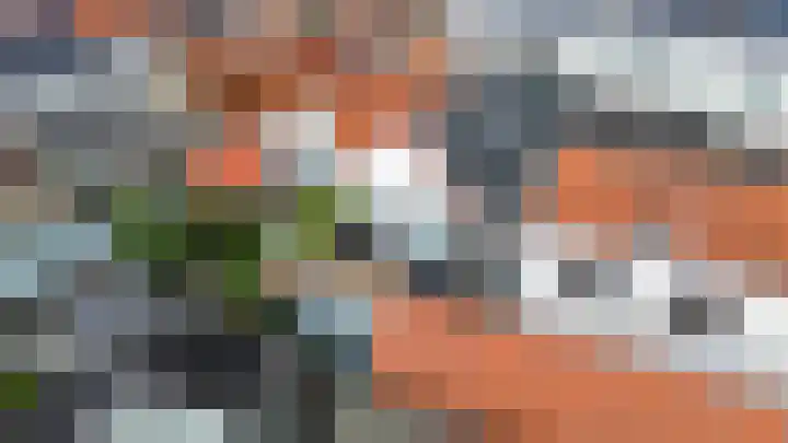 Achterdorp 18 a Dirksland thumbnail 30