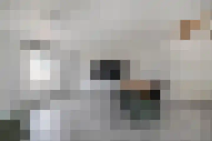 Achterdorp 18 a Dirksland thumbnail 8