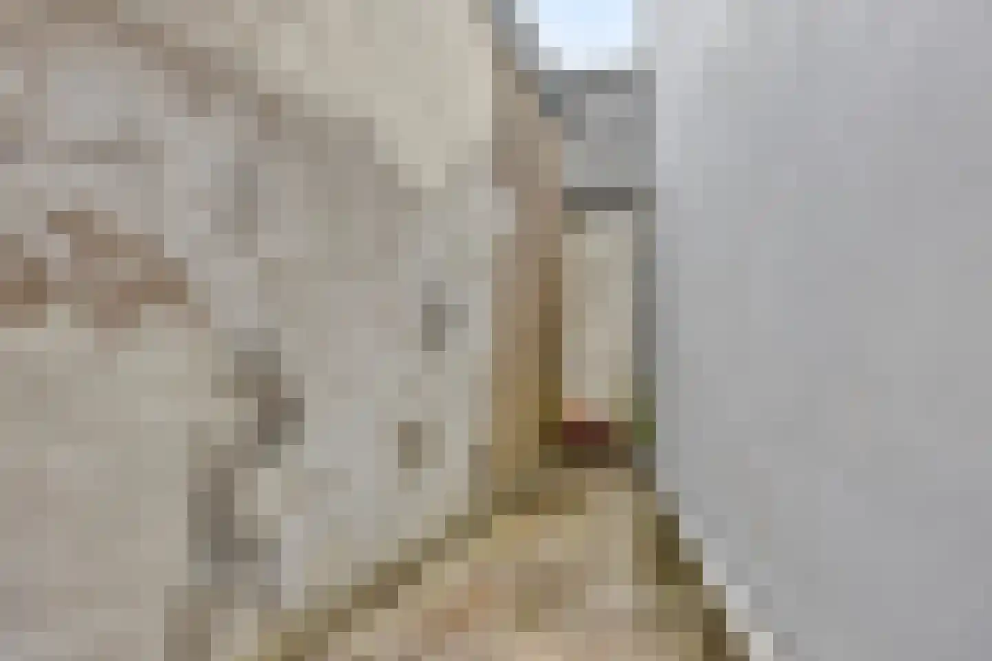 Achterdorp 2 a Dirksland thumbnail 24