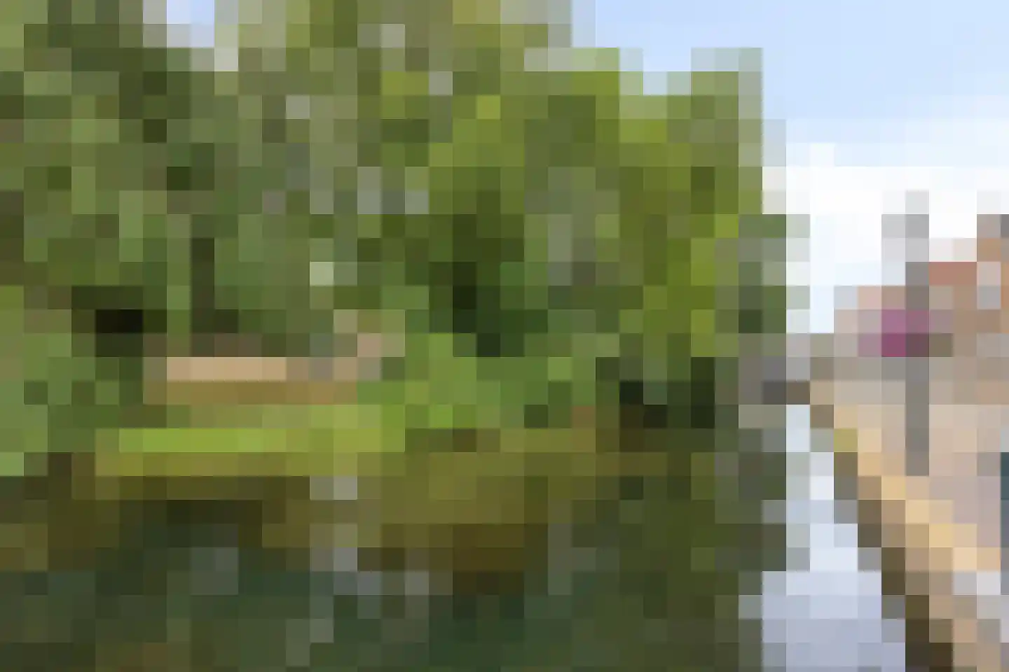 Achterdorp 2 a Dirksland thumbnail 25