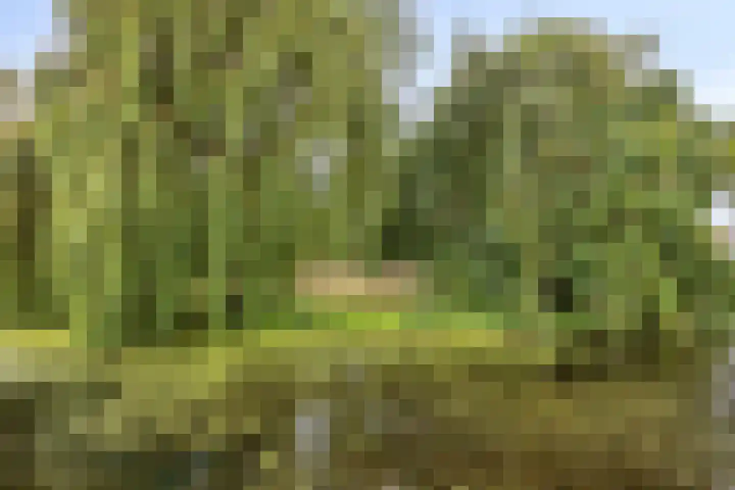 Achterdorp 2 a Dirksland thumbnail 27