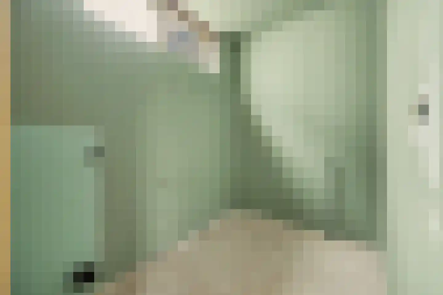 Achterdorp 22 Dirksland thumbnail 13