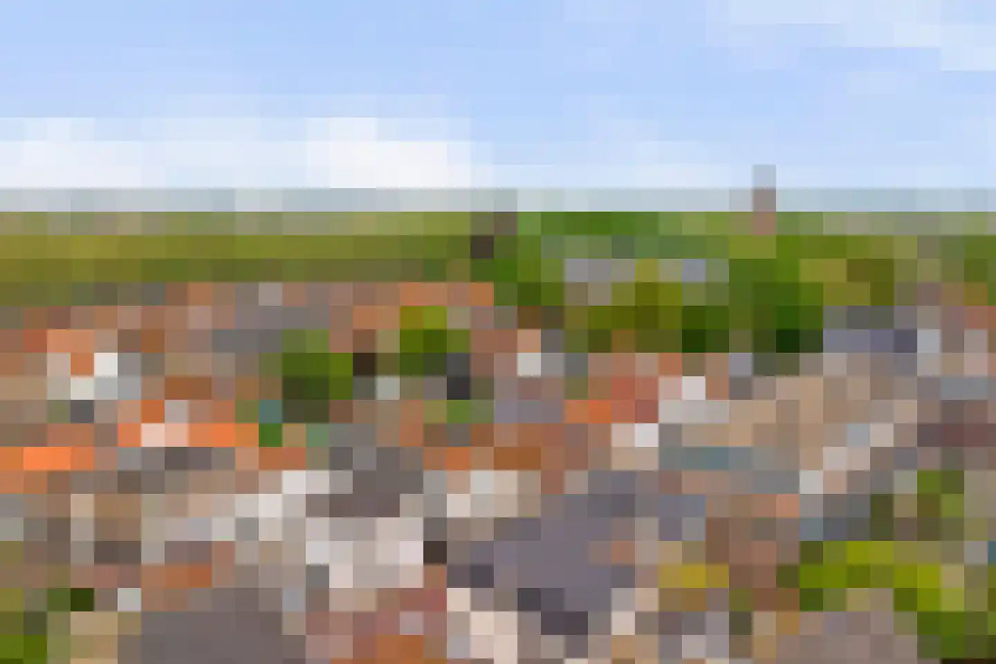 Achterdorp 22 Dirksland thumbnail 18