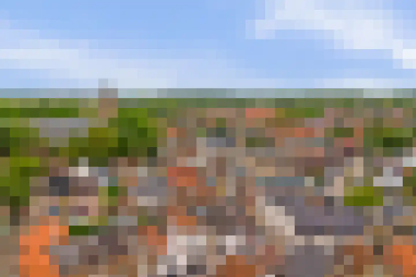 Achterdorp 22 Dirksland thumbnail 19