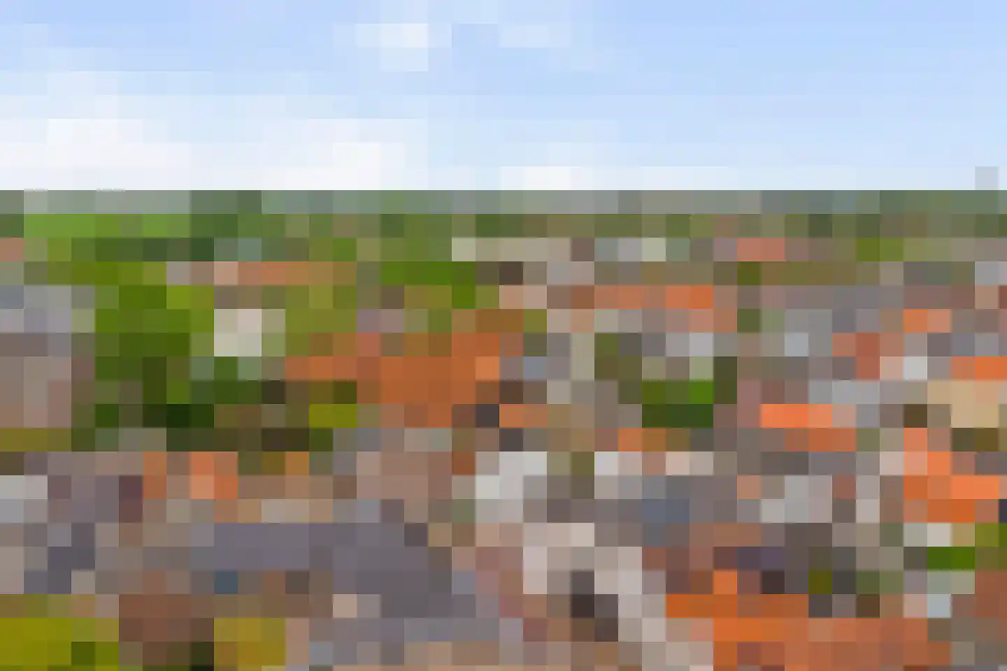 Achterdorp 22 Dirksland thumbnail 21