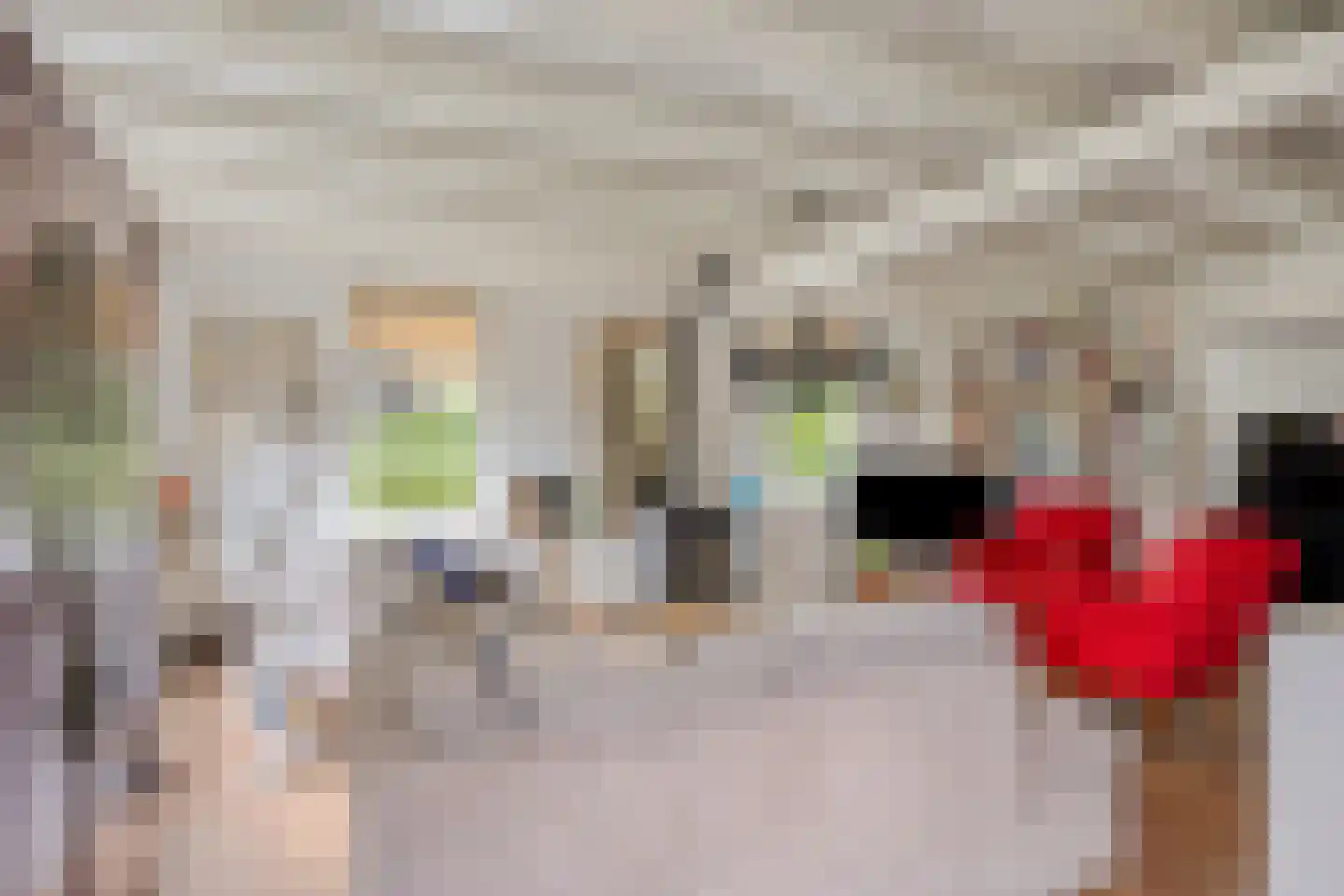 Achterdorp 3 Kesteren thumbnail 13