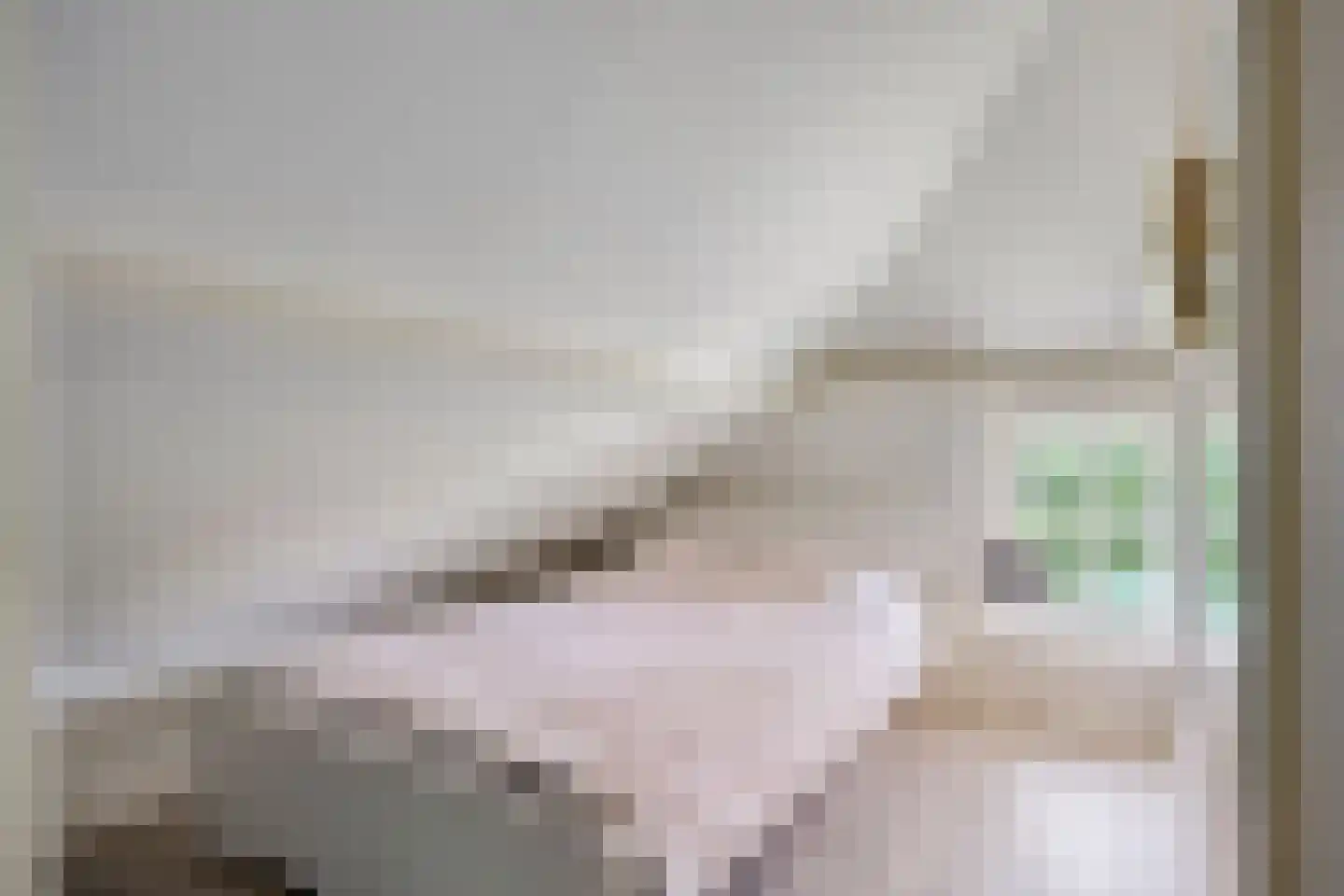 Achterdorp 3 Kesteren thumbnail 26