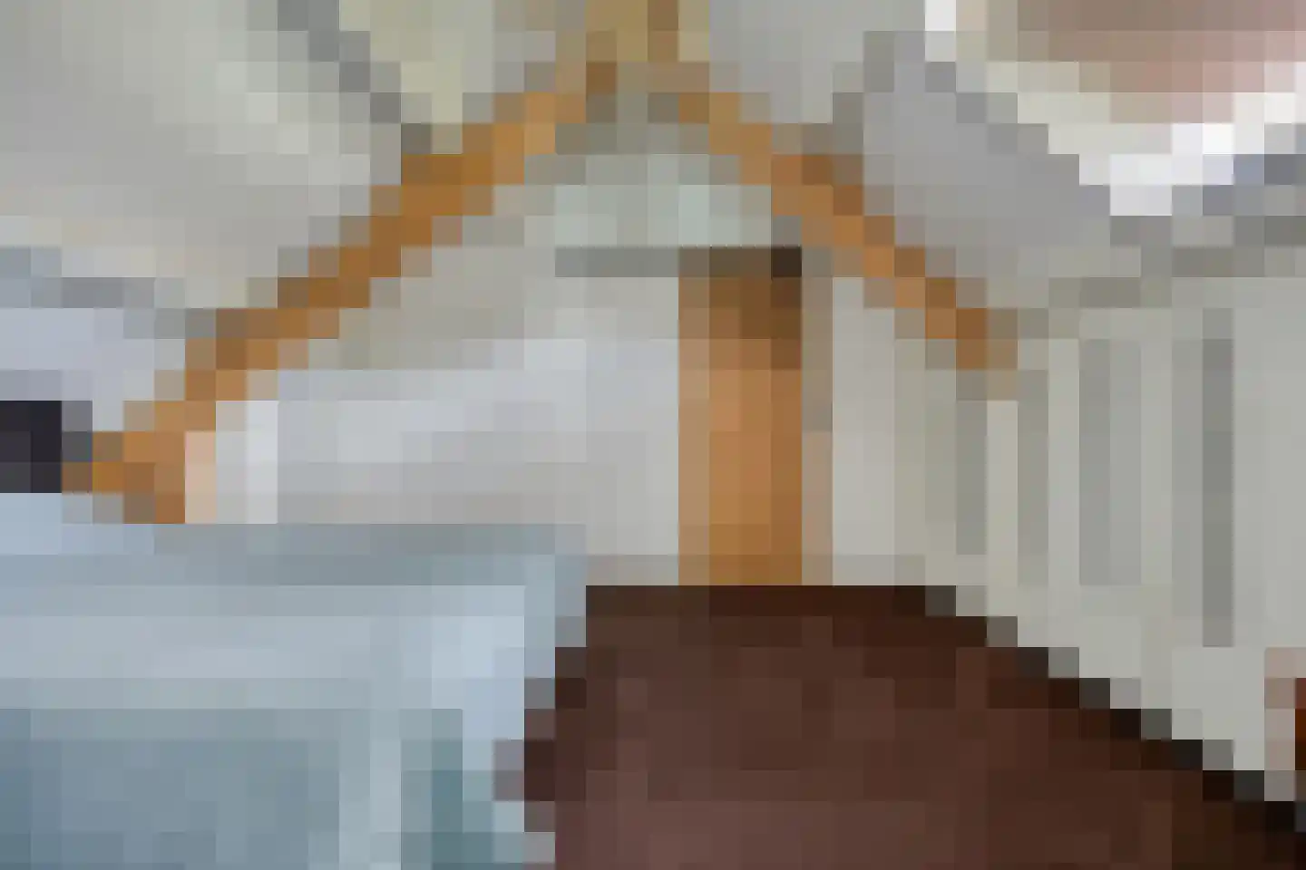 Achterdorp 3 Kesteren thumbnail 28