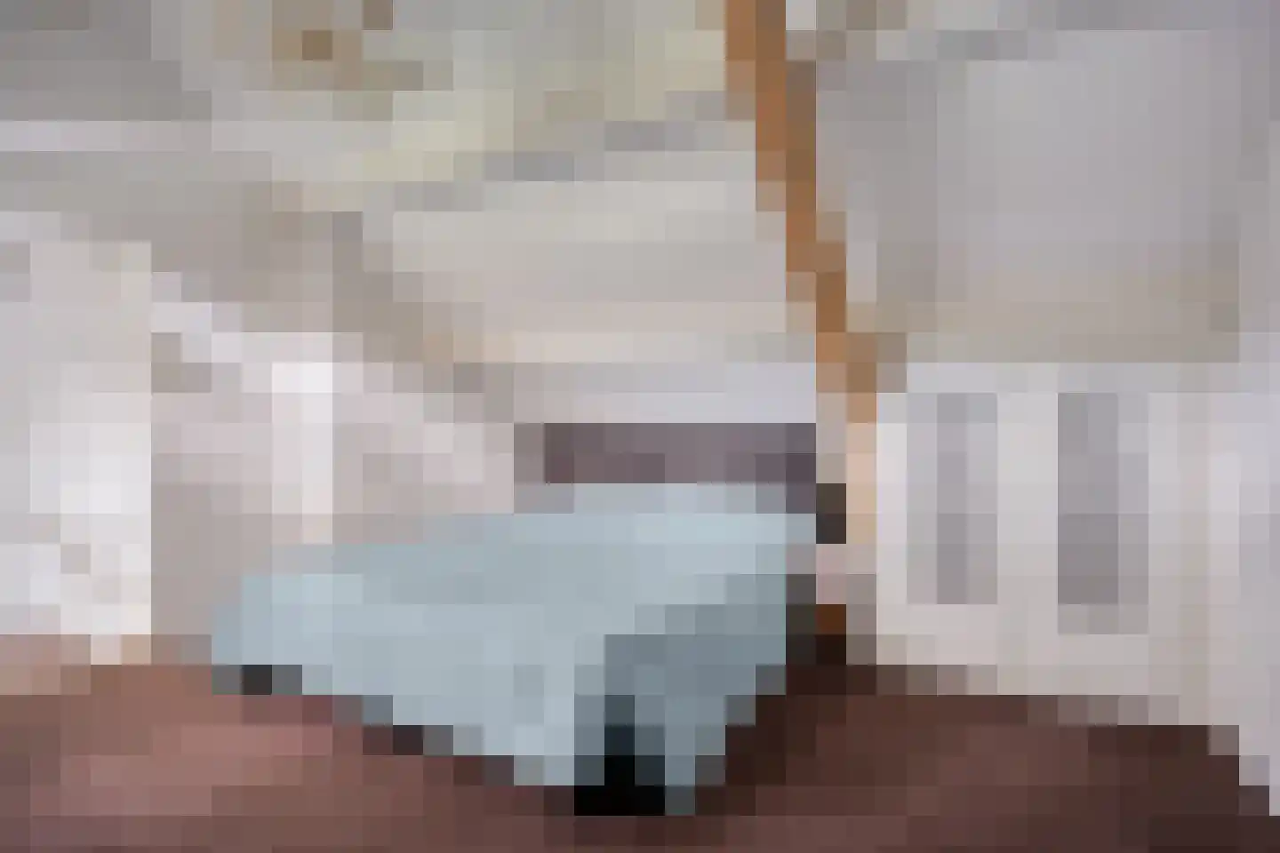 Achterdorp 3 Kesteren thumbnail 29