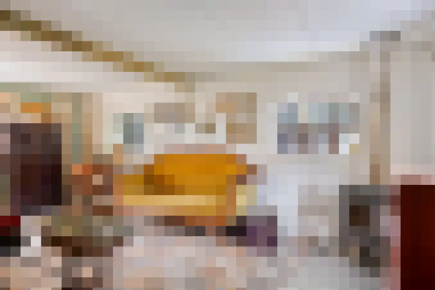 Achterdorp 3 Kesteren thumbnail 36