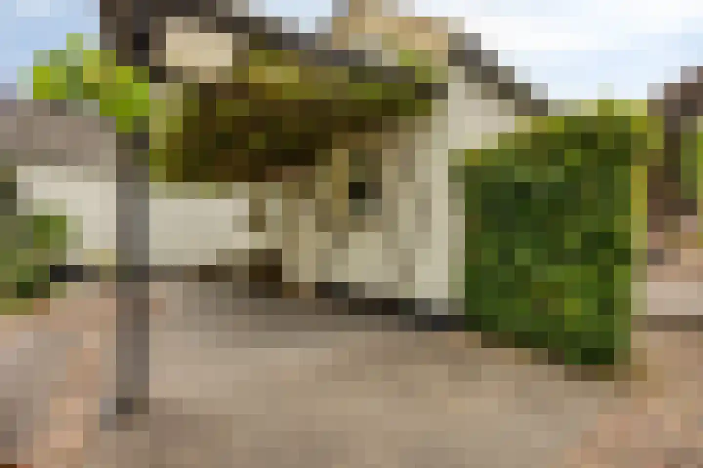 Achterdorp 3 Kesteren thumbnail 51
