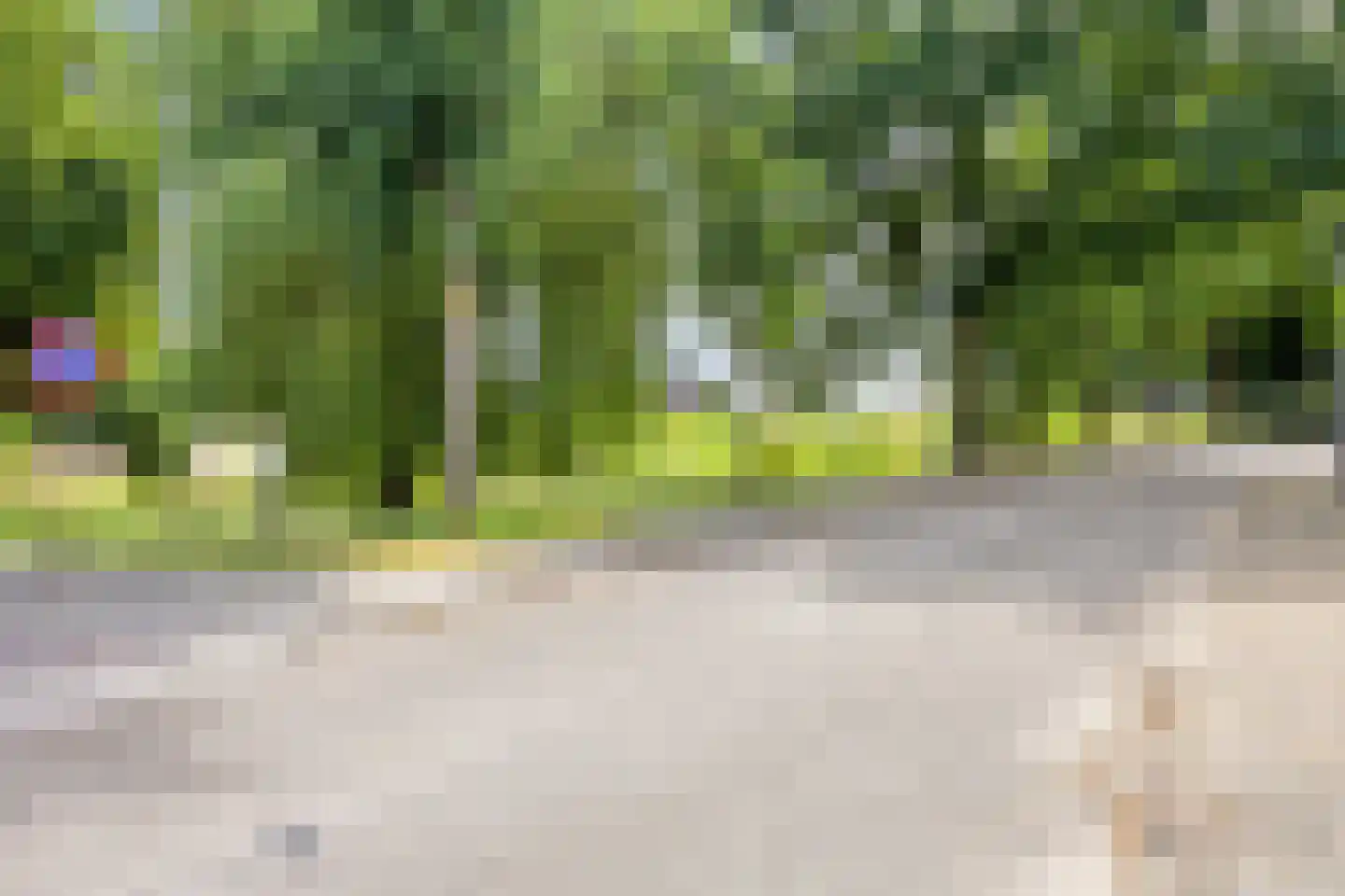 Achterdorp 3 Kesteren thumbnail 52