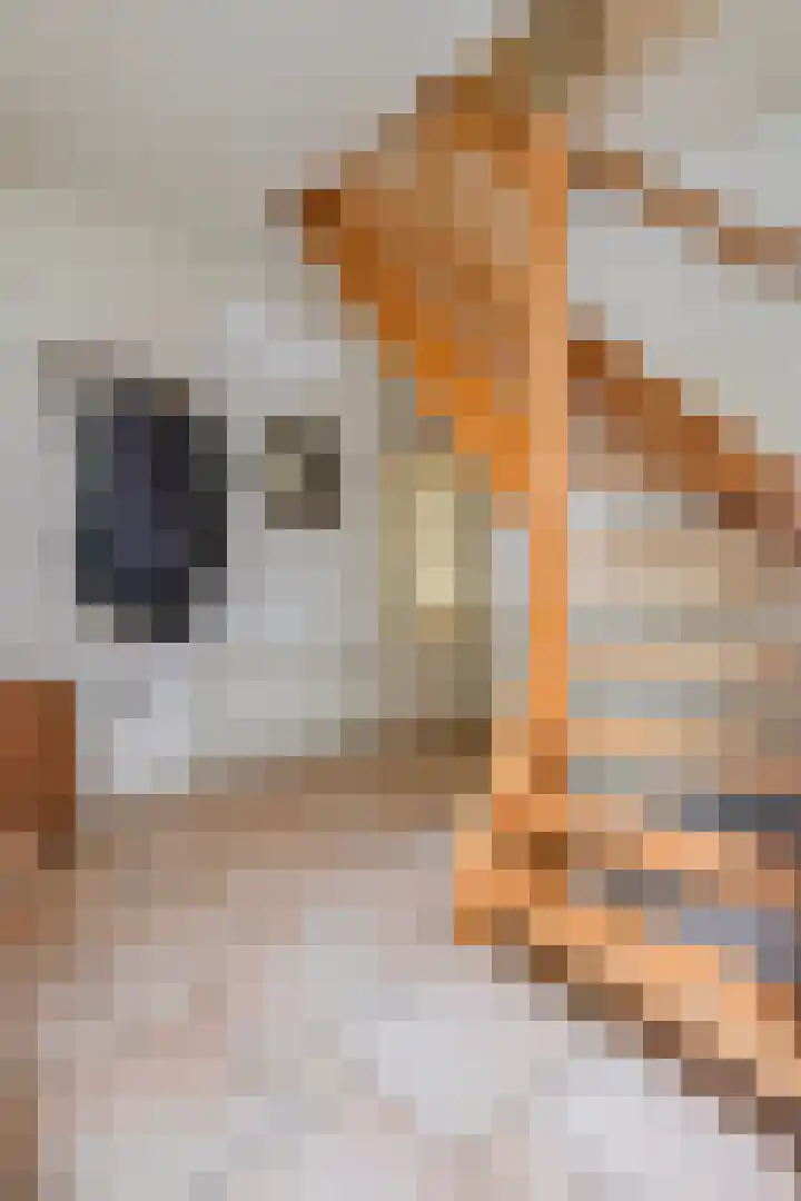 Achterdorp 39 Kesteren thumbnail 11