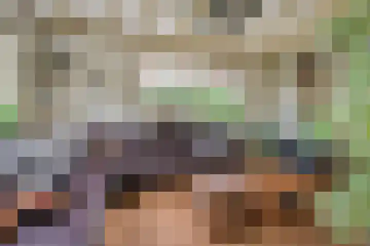 Achterdorp 39 Kesteren thumbnail 14