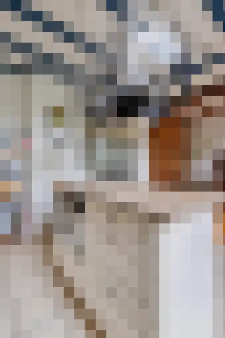 Achterdorp 39 Kesteren thumbnail 25