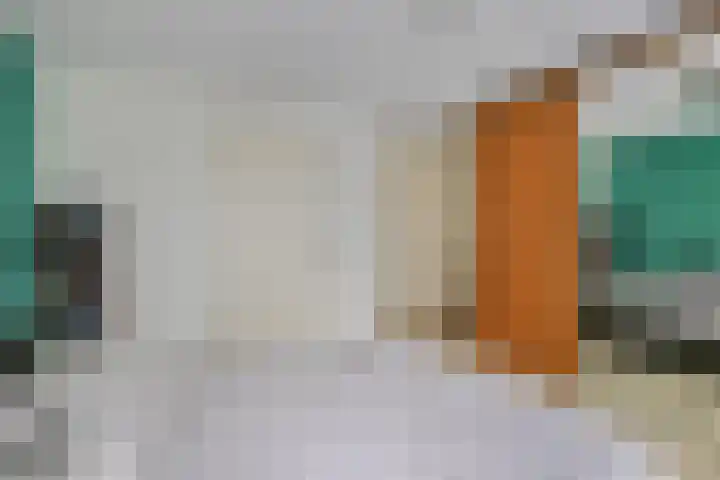 Achterdorp 39 Kesteren thumbnail 28