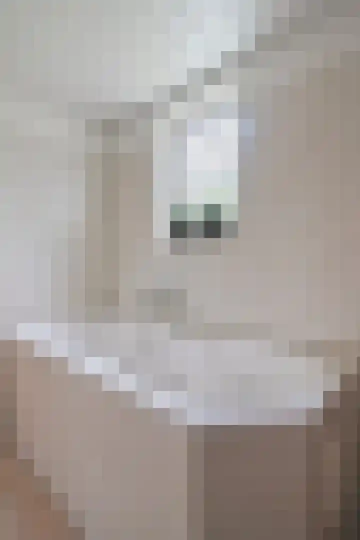 Achterdorp 39 Kesteren thumbnail 33