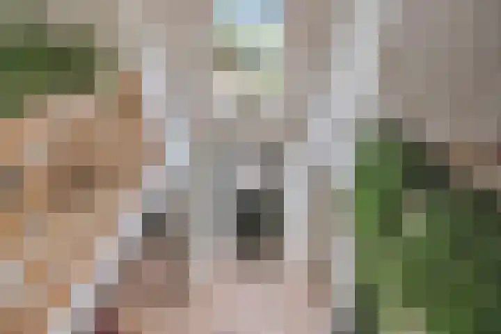 Achterdorp 39 Kesteren thumbnail 37