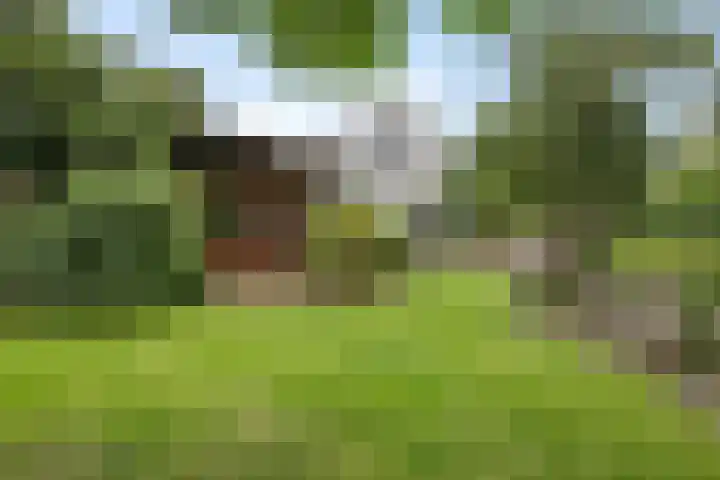 Achterdorp 39 Kesteren thumbnail 4