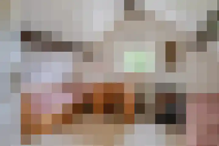 Achterdorp 39 Kesteren thumbnail 45