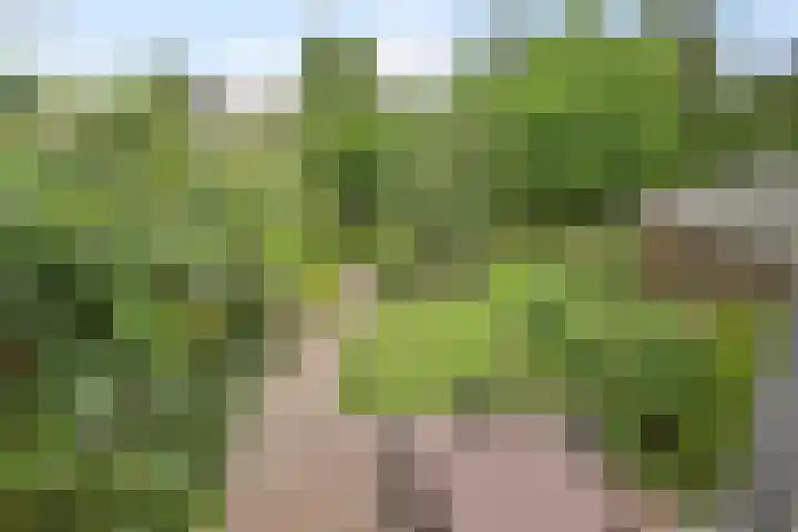 Achterdorp 39 Kesteren thumbnail 5