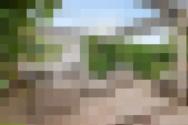 Achterdorp 39 Kesteren thumbnail 56