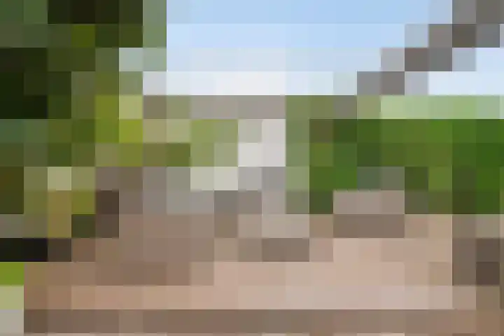 Achterdorp 39 Kesteren thumbnail 57