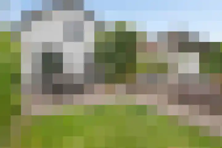 Achterdorp 39 Kesteren thumbnail 58