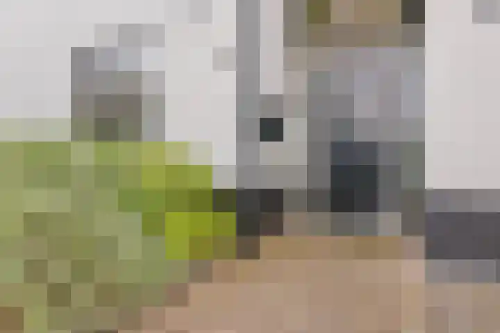Achterdorp 39 Kesteren thumbnail 6