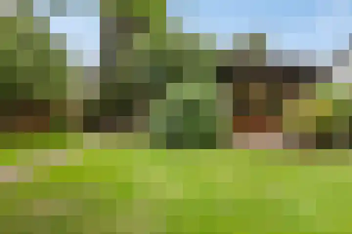 Achterdorp 39 Kesteren thumbnail 60