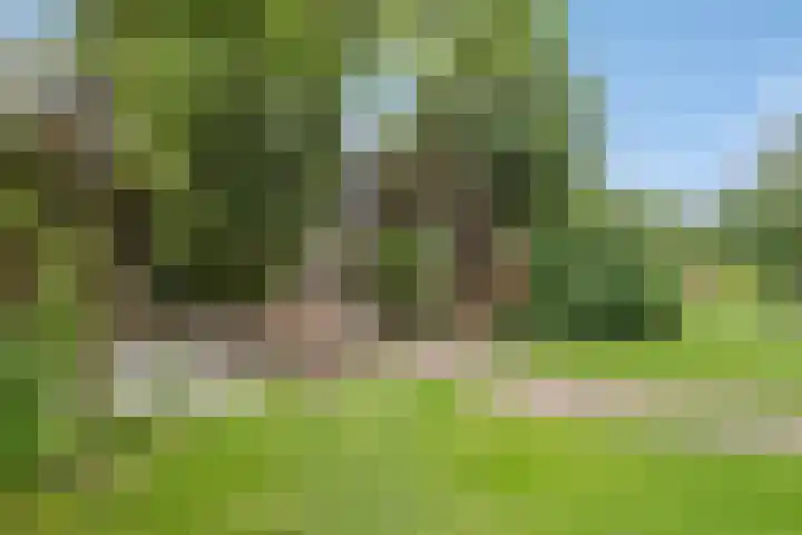 Achterdorp 39 Kesteren thumbnail 61