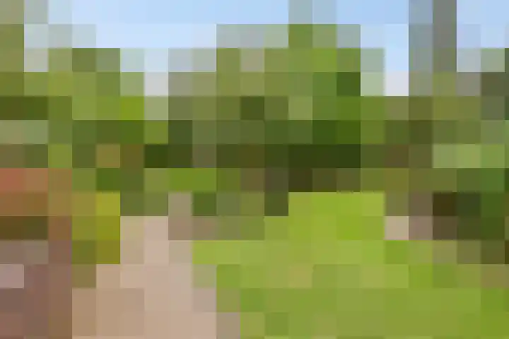 Achterdorp 39 Kesteren thumbnail 62