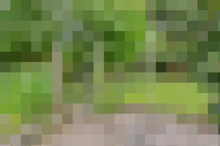 Achterdorp 39 Kesteren thumbnail 64