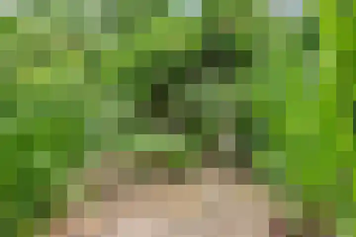 Achterdorp 39 Kesteren thumbnail 66