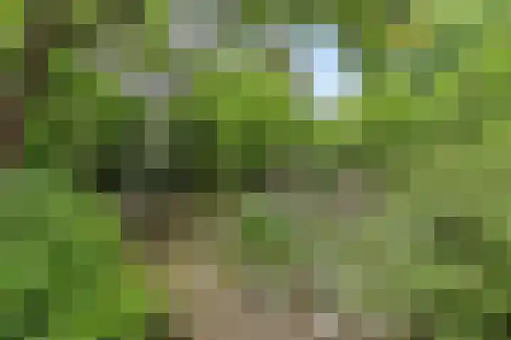 Achterdorp 39 Kesteren thumbnail 67