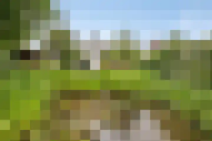 Achterdorp 39 Kesteren thumbnail 68