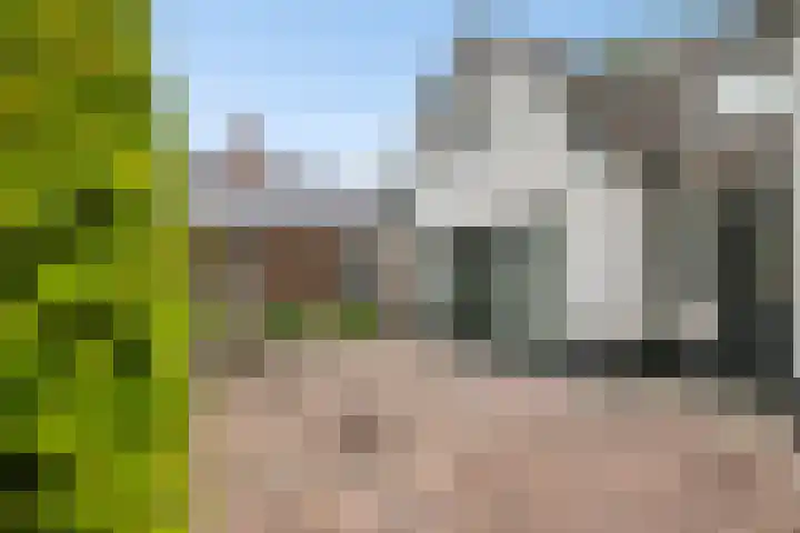 Achterdorp 39 Kesteren thumbnail 69