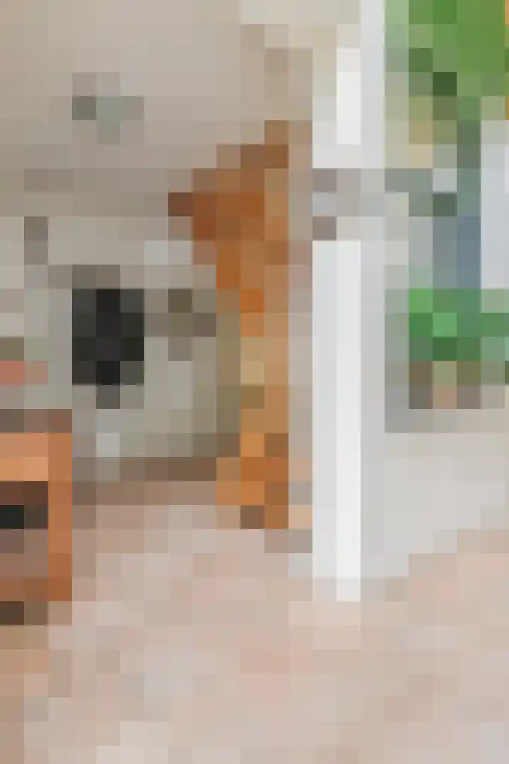 Achterdorp 39 Kesteren thumbnail 9
