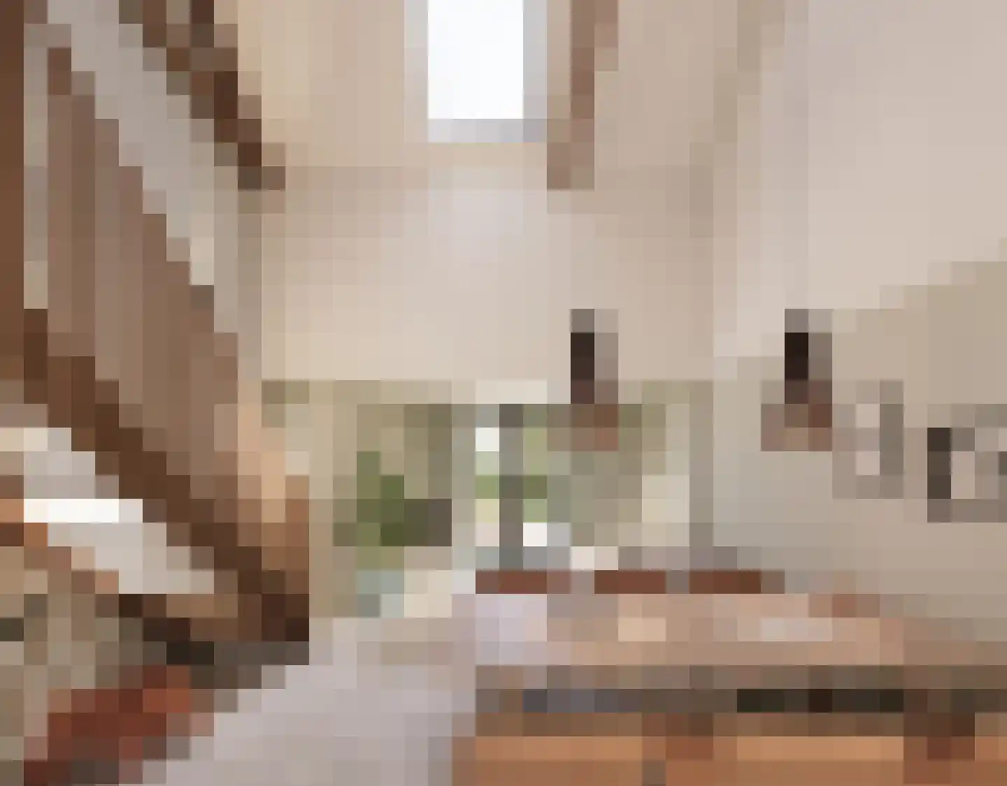 Achterdorpsstraat 21 Renkum thumbnail 4