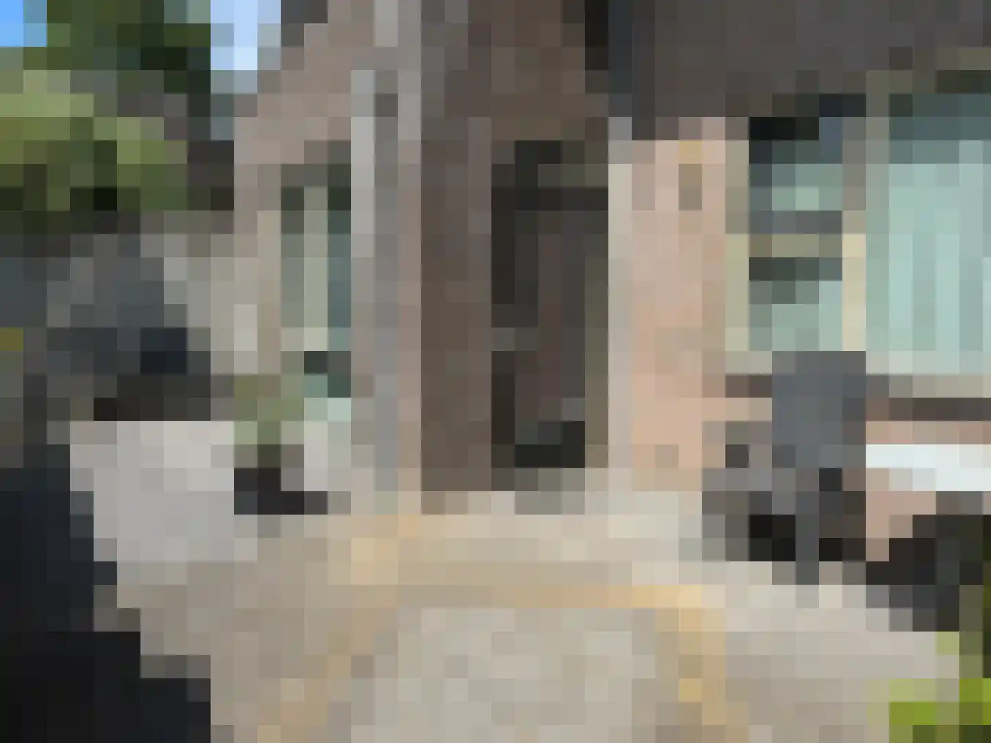 Achterdorpsstraat 36 B Renkum thumbnail 17