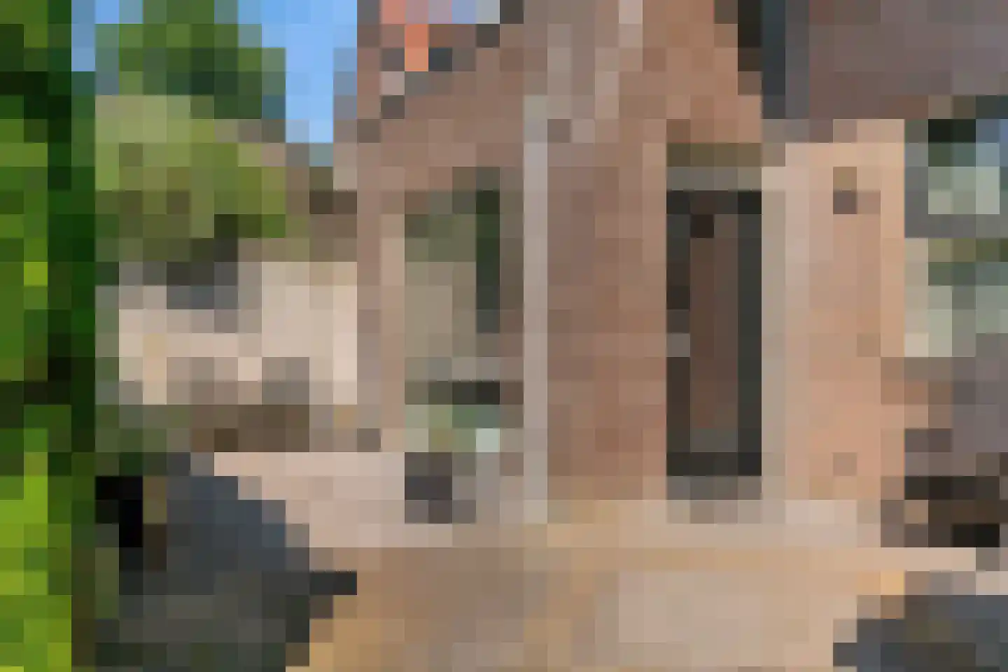 Achterdorpsstraat 36 B Renkum thumbnail 19