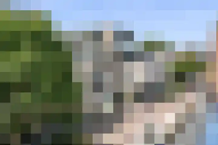Achterdorpsstraat 4 A Renkum thumbnail 8
