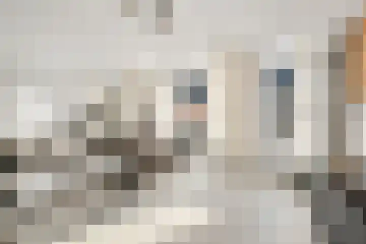 Achterdorpsstraat 4 Renkum thumbnail 21