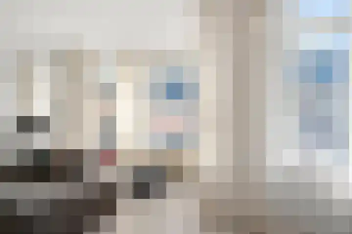 Achterdorpsstraat 4 Renkum thumbnail 22