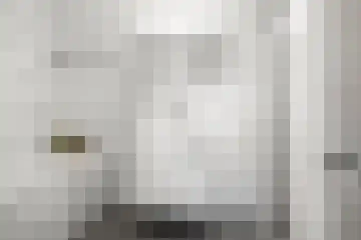 Achterdorpsstraat 4 Renkum thumbnail 40